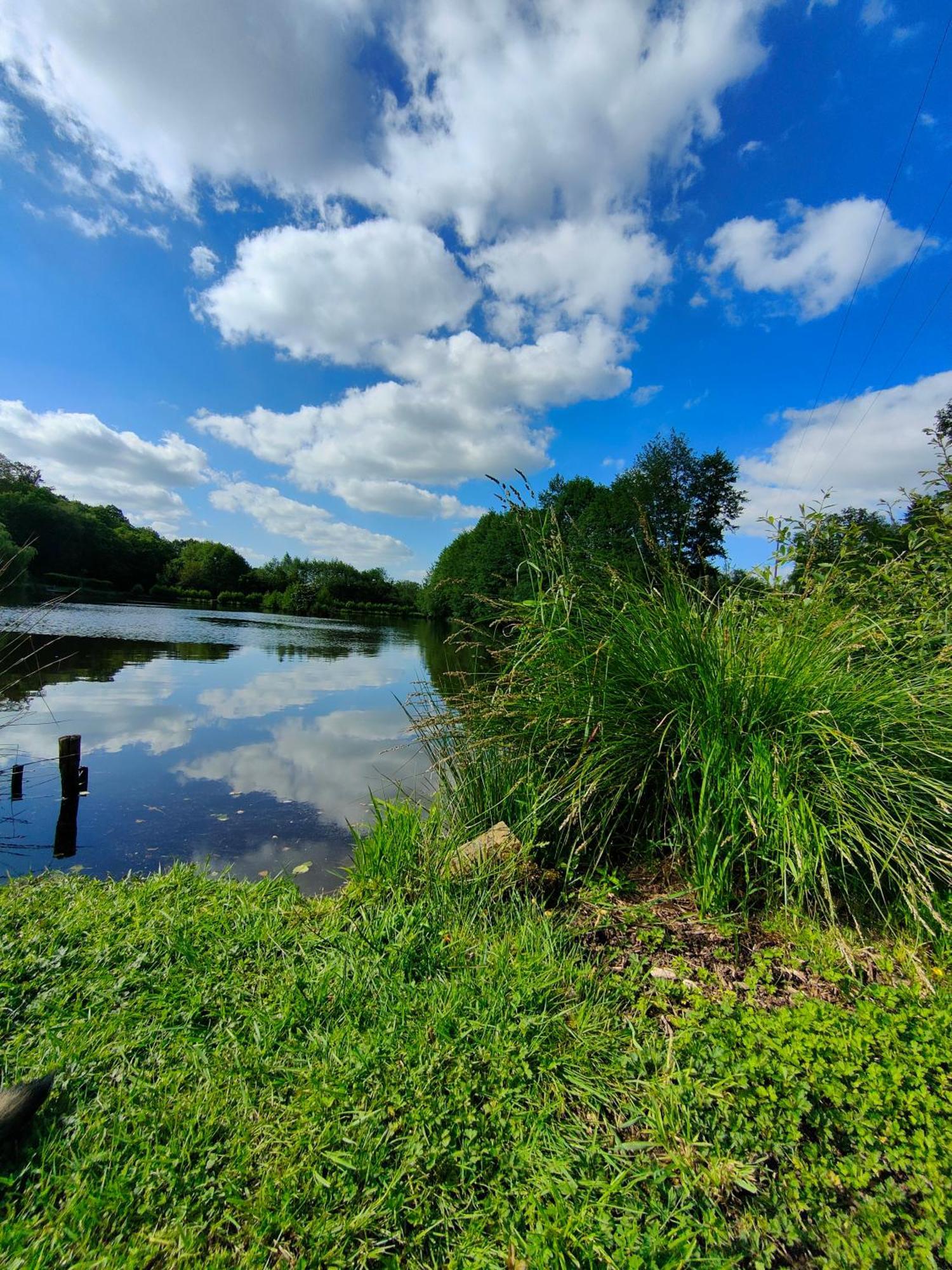 Gite De L Etang Du Planchon Balledent Exteriör bild